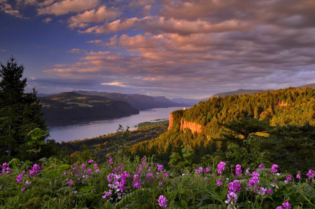 landscape vista of Skamania lodge with river in background and wildflowers in foreground