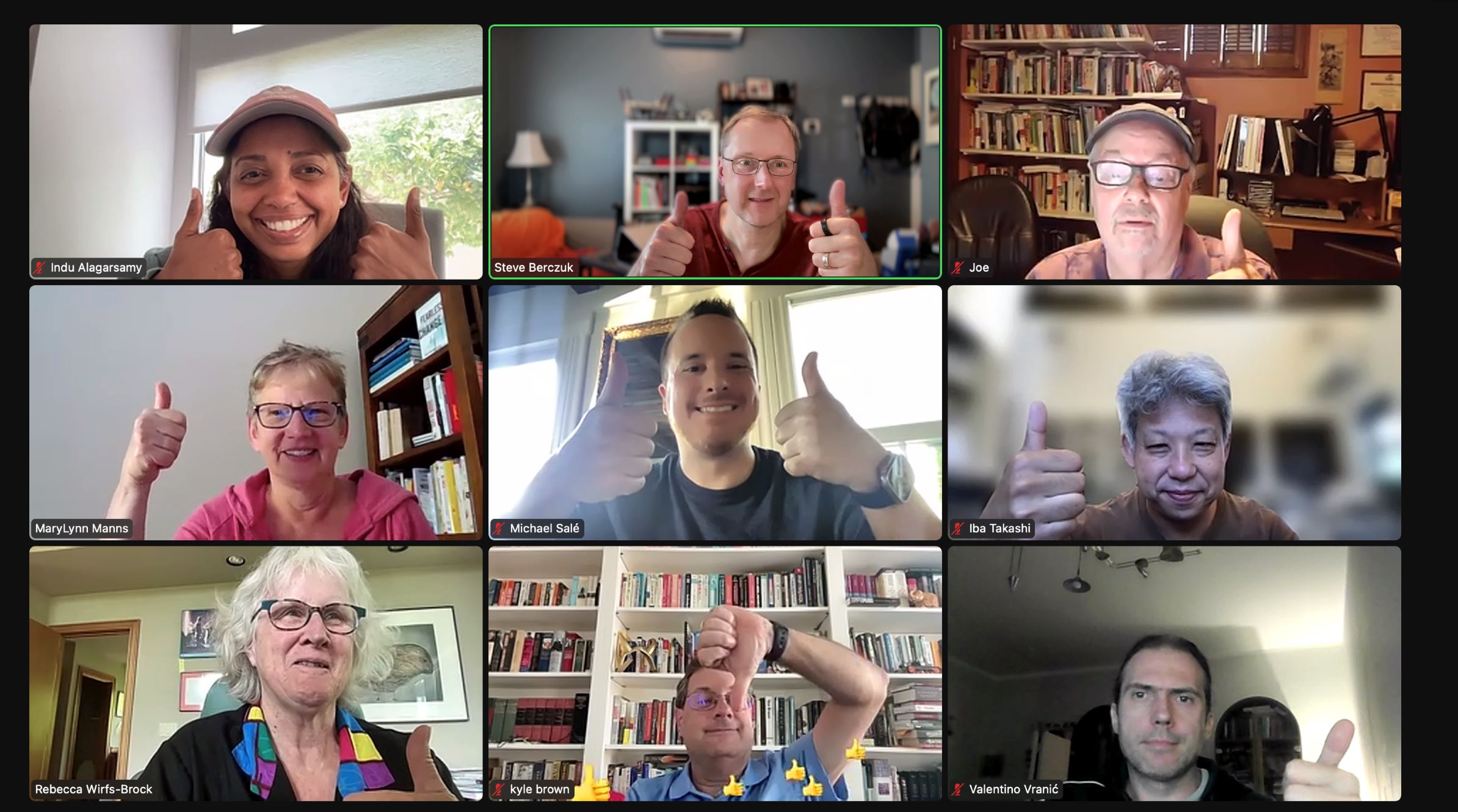 Screenshot of 9 people on Zoom call giving thumbs up or thumbs down hand signals